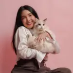 Gato sociáveis: 7 raças que gostam de companhia 