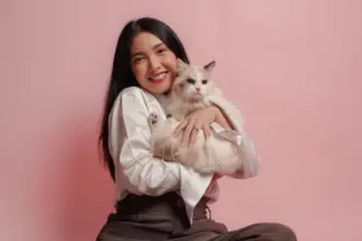 Gato sociáveis: 7 raças que gostam de companhia 