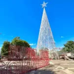 Natal Luz 2025: Luzes da Árvore Encantada serão acesas nesta quinta na Praça Laurentino Martins