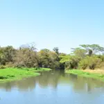 detentores de outorgas devem atualizar dados – Portal Goiás