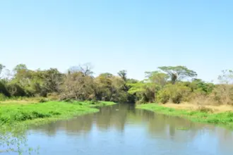 detentores de outorgas devem atualizar dados – Portal Goiás