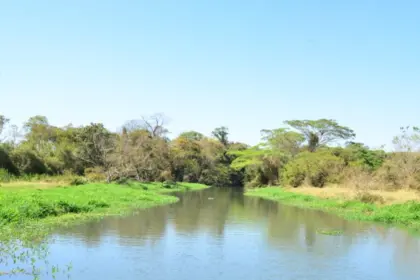 detentores de outorgas devem atualizar dados – Portal Goiás