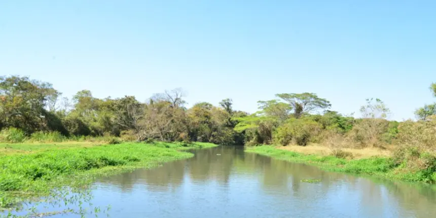 detentores de outorgas devem atualizar dados – Portal Goiás