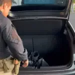 PRF apreende mais de 260 canetas emagrecedoras irregulares na BR-153