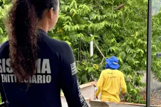 Reeducandos ajudam a revitalizar prédios públicos em ação conjunta da Prefeitura de Goianésia e Polícia Penal