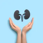 10 hábitos e exercícios para melhorar a saúde dos rins