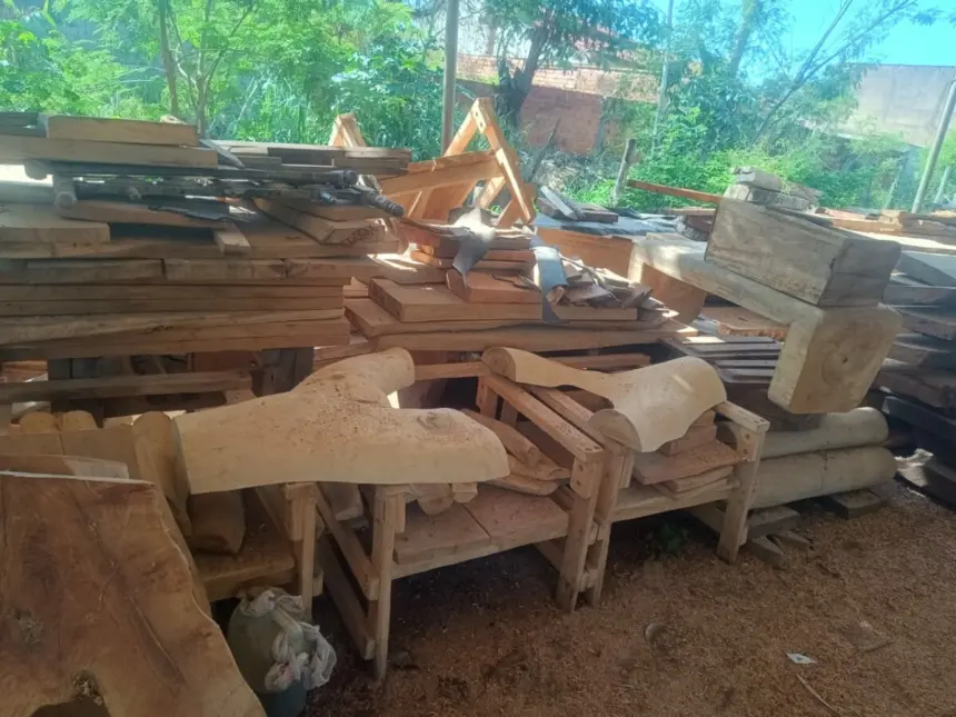 Polícia Civil apreende madeira retirada ilegalmente e utilizada em serraria de Niquelândia – Policia Civil do Estado de Goiás