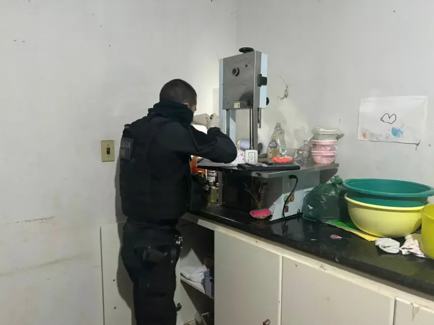 Operação integrada prende autor por posse ilegal de arma de fogo de uso restrito em Indiara – Policia Civil do Estado de Goiás