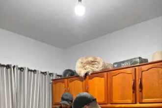 PCGO desarticula esquema de desvio e venda clandestina de componentes de indústria de Rio Verde – Policia Civil do Estado de Goiás