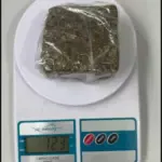 PCGO cumpre mandados e prende investigado por tráfico em Campos Belos – Policia Civil do Estado de Goiás