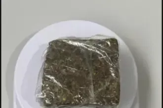 PCGO cumpre mandados e prende investigado por tráfico em Campos Belos – Policia Civil do Estado de Goiás