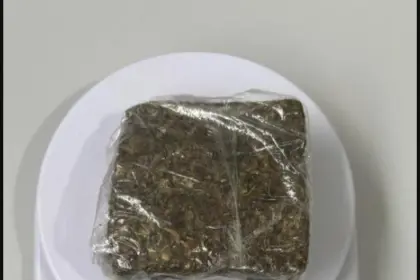 PCGO cumpre mandados e prende investigado por tráfico em Campos Belos – Policia Civil do Estado de Goiás