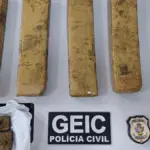 PCGO localiza imóvel utilizado como depósito e apreende drogas em Formosa – Policia Civil do Estado de Goiás