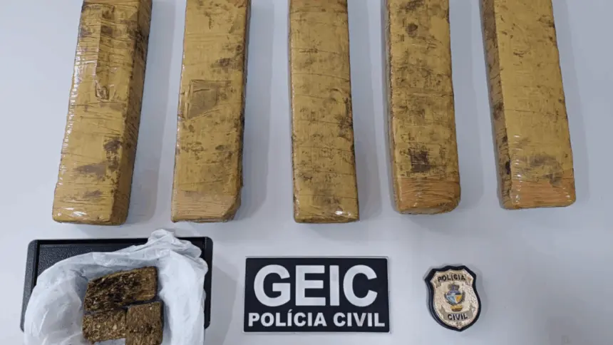 PCGO localiza imóvel utilizado como depósito e apreende drogas em Formosa – Policia Civil do Estado de Goiás