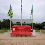 Banco Vermelho é inaugurado em Goiânia – símbolo representa combate à violência contra a mulher – Portal Goiás