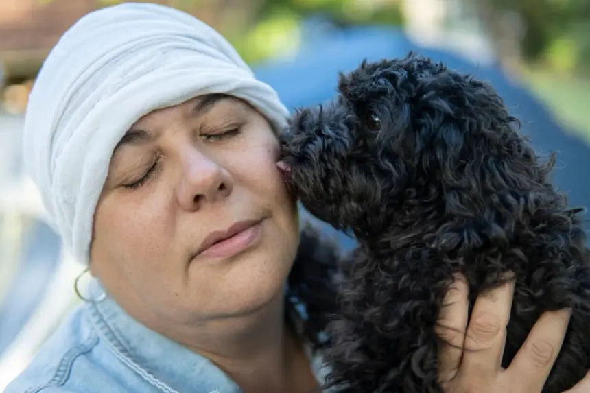 Quimioterapia e pets: saiba como manter a convivência segura Quimioterapia e pets: saiba como manter a convivência segura