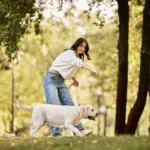 Como cuidar do pet com a rotina corrida: 7 dicas essenciais