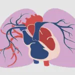 Hipertensão arterial pulmonar: entenda a doença de Lígia em “Três Graças”