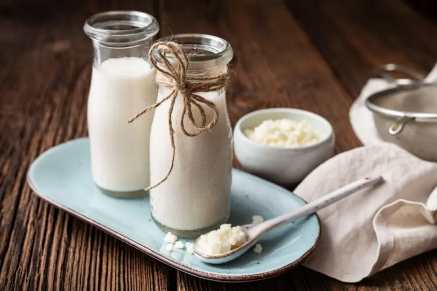 Kefir: 5 benefícios da bebida fermentada que favorece o equilíbrio do organismo Kefir: 5 benefícios da bebida fermentada que favorece o equilíbrio do organismo