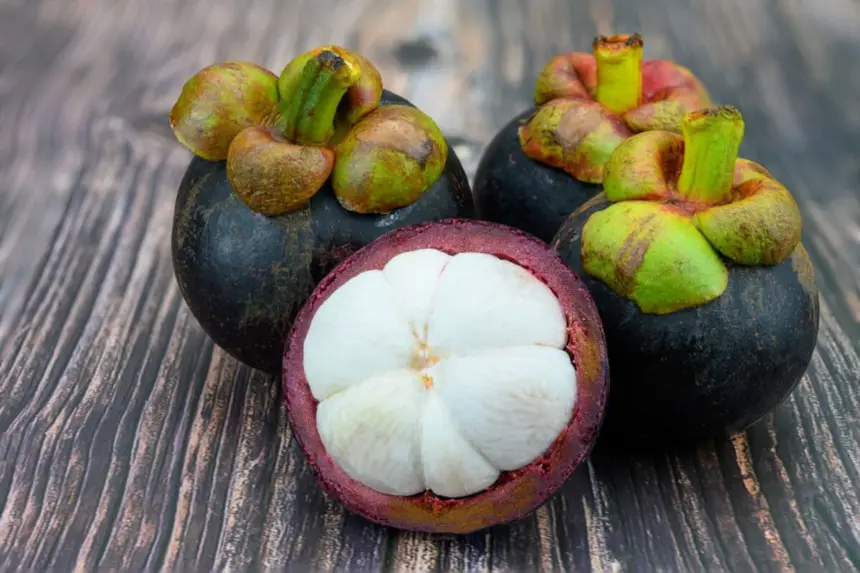 Mangostão: 5 benefícios surpreendentes para a saúde