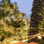 Natal iluminado: Equatorial Goiás orienta sobre uso seguro de decorações elétricas