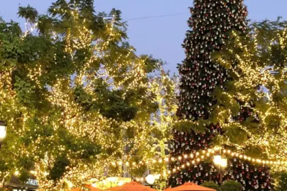 Natal iluminado: Equatorial Goiás orienta sobre uso seguro de decorações elétricas