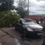 Árvore cai sobre carro em Goianésia e bombeiro de folga presta atendimento
