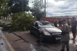 Árvore cai sobre carro em Goianésia e bombeiro de folga presta atendimento