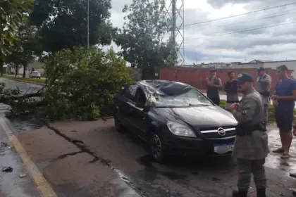 Árvore cai sobre carro em Goianésia e bombeiro de folga presta atendimento