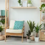Quais plantas escolher para o apartamento? Veja 7 opções