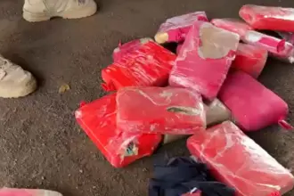 Trio é preso na BR-060 por tráfico de drogas e associação para o tráfico