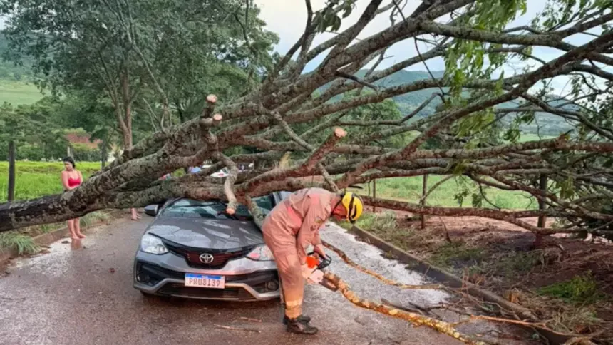 Fortes ventos derrubam árvores e mobilizam Bombeiros em Goianésia Fortes ventos derrubam árvores e mobilizam Bombeiros em Goianésia