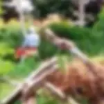 Idosos são flagrados fazendo sexo em local público e viralizam na internet