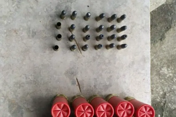 PCGO apreende armas e munições, em Cocalzinho, e procura por foragido – Policia Civil do Estado de Goiás