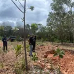 PCGO realiza operação em Niquelândia para apurar extração ilegal de minério e madeira – Policia Civil do Estado de Goiás