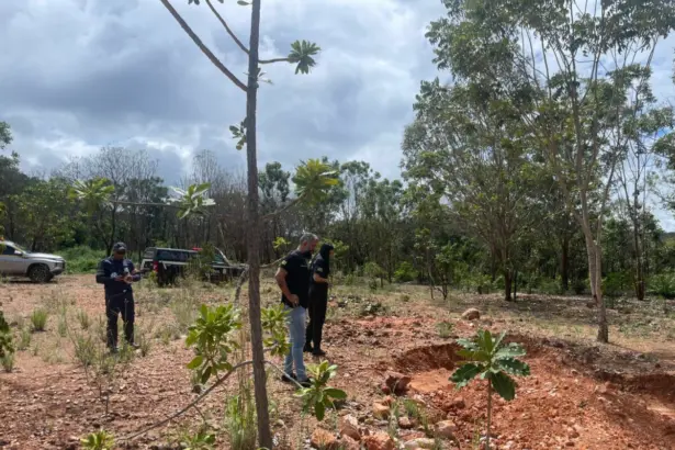 PCGO realiza operação em Niquelândia para apurar extração ilegal de minério e madeira – Policia Civil do Estado de Goiás
