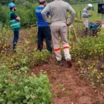 PCGO prende em flagrante morador da zona rural de Rubiataba por furto de energia elétrica – Policia Civil do Estado de Goiás