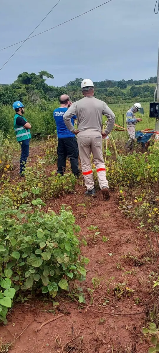 PCGO prende em flagrante morador da zona rural de Rubiataba por furto de energia elétrica – Policia Civil do Estado de Goiás