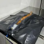 Polícia Civil prende homem em flagrante por maus-tratos a animal em Goiânia – Policia Civil do Estado de Goiás