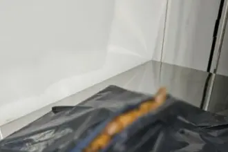 Polícia Civil prende homem em flagrante por maus-tratos a animal em Goiânia – Policia Civil do Estado de Goiás