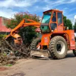 Ações de limpeza reduzem em mais de 80% os casos de dengue em Goianésia