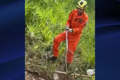 Bombeiros capturam cobra-cipó no Residencal Jardim do Cerrado