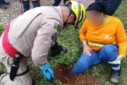 Bombeiros resgatam trabalhadora após acidente de trabalho no oeste de Goianésia