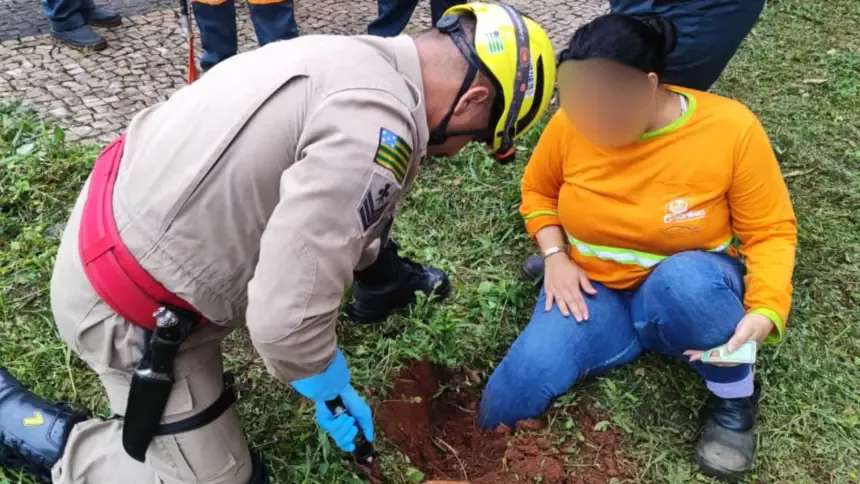 Bombeiros resgatam trabalhadora após acidente de trabalho no oeste de Goianésia