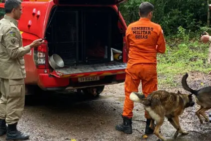 Urgente: Corpo de Bombeiros localiza homem que estava desaparecido em mata