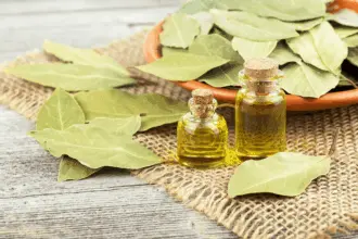 Folha de louro: 6 maneiras de melhorar a saúde com a planta