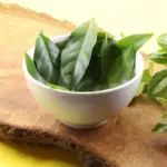 Ora-pro-nóbis: 7 motivos para incluir a planta na alimentação