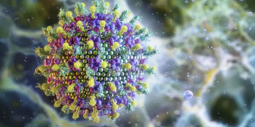 Nipah: saiba mais sobre o vírus que preocupa a Ásia Nipah: saiba mais sobre o vírus que preocupa a Ásia