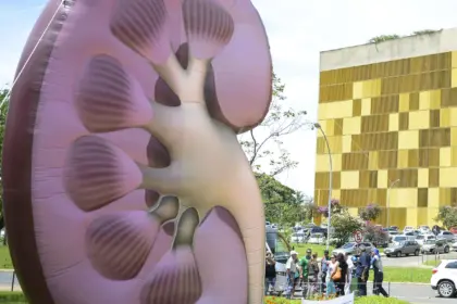 Dia Mundial do Rim: doenças renais são silenciosas e exigem atenção