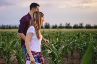 Produtor rural deve atualizar contrato de arrendamento ou comodato